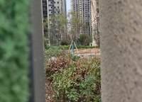 信保春風(fēng)十里