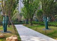 康橋知園