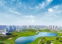 濱河春曉