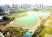 濱河春曉