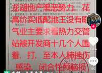 龍湖天宸原著