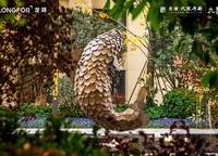 龍湖天宸原著