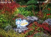 龍湖天宸原著