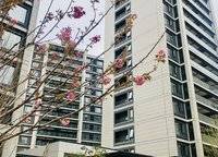 正弘府