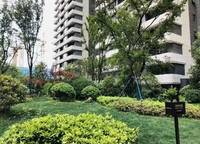 美盛教育港灣