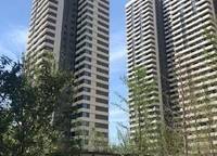 美盛教育港灣