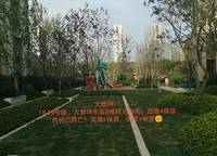 鄭地美景紫華城