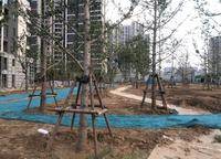 永威西郡