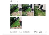 綠城明月濱河