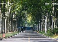 招商美景雍瑞園