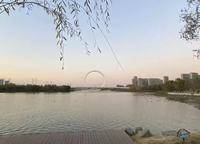 綠城明月濱河
