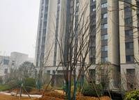 康橋山海云圖