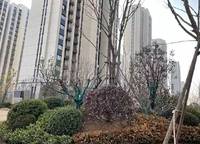 康橋山海云圖
