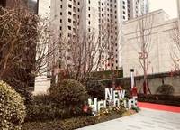 金輝濱河云著
