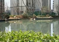 康橋山海云圖