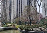 康橋山海云圖