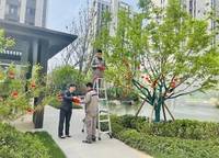 康橋山海云圖