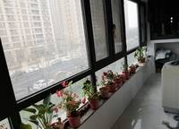 建業(yè)花園里