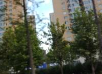 中原新城公園一號