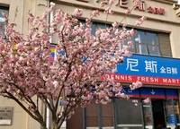 綠地老街