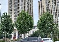旭輝 一江云著