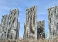 金科中原