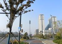 鄭地管城城投儲備用地 鄭政出[2022]25號（網(wǎng)）