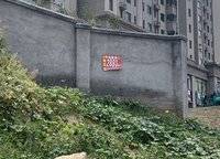 東原閱境
