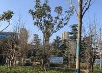臺隆合園