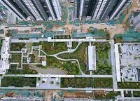 大正水晶森林
