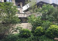 建業(yè)春天里