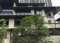 建業(yè)春天里