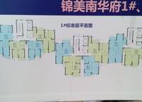 錦美南華府