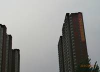 匯金玫瑰園