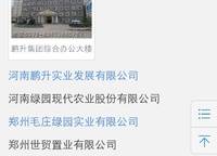鵬翔商業(yè)中心（海港城）