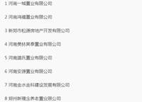 錦美南華府