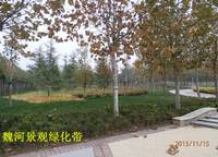 正商書香華府
