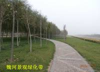 正商書香華府