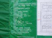 新芒果春天