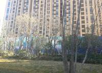 康橋九溪郡