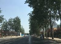 保利永威西溪花園