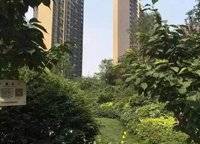 永威五月花城