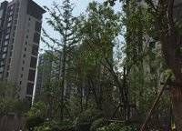 永威迎賓府