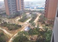泰宏建業(yè)國際城
