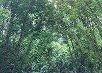 永威翡翠城