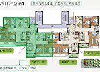 中建翰林苑