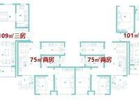 豐樂奧體公館