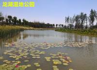 建業(yè)海馬九如府