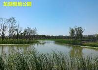 建業(yè)海馬九如府