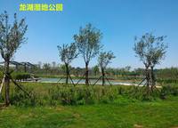 建業(yè)海馬九如府